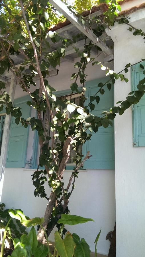 Sofia Holiday Studios Stafylos Exterior foto
